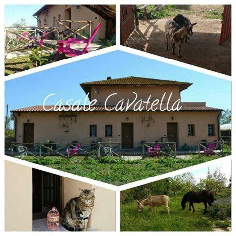 Frühstückspension Casale Cavatella Sermoneta